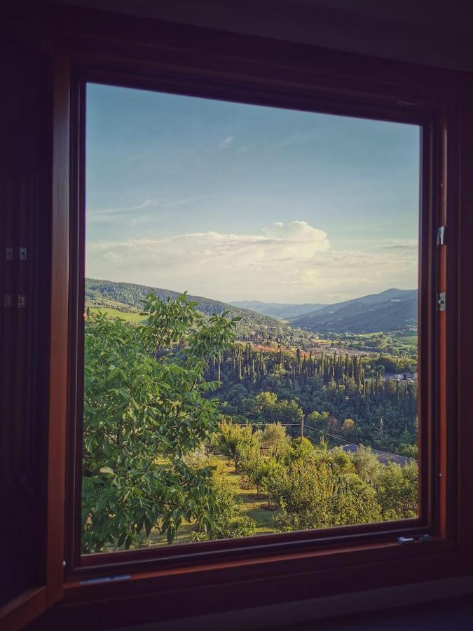L'Oasi Di Cice Villa Rufina Eksteriør billede