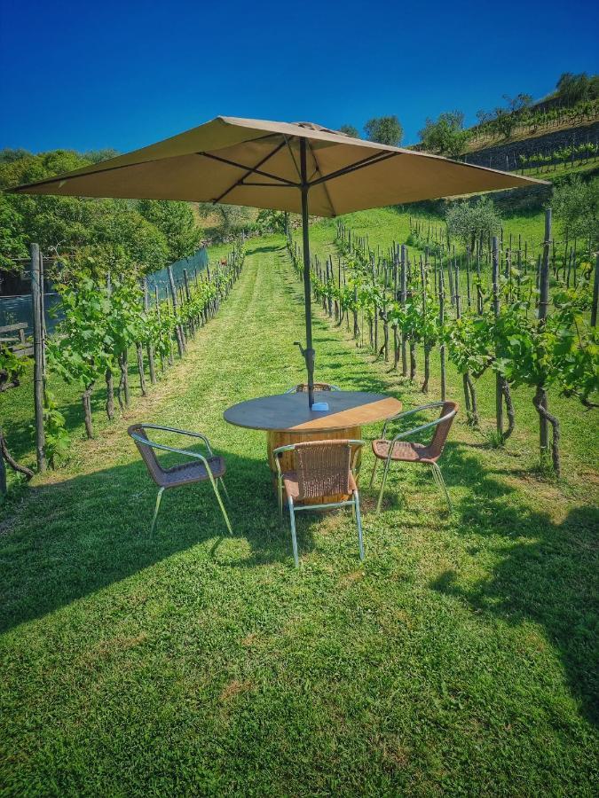 L'Oasi Di Cice Villa Rufina Eksteriør billede